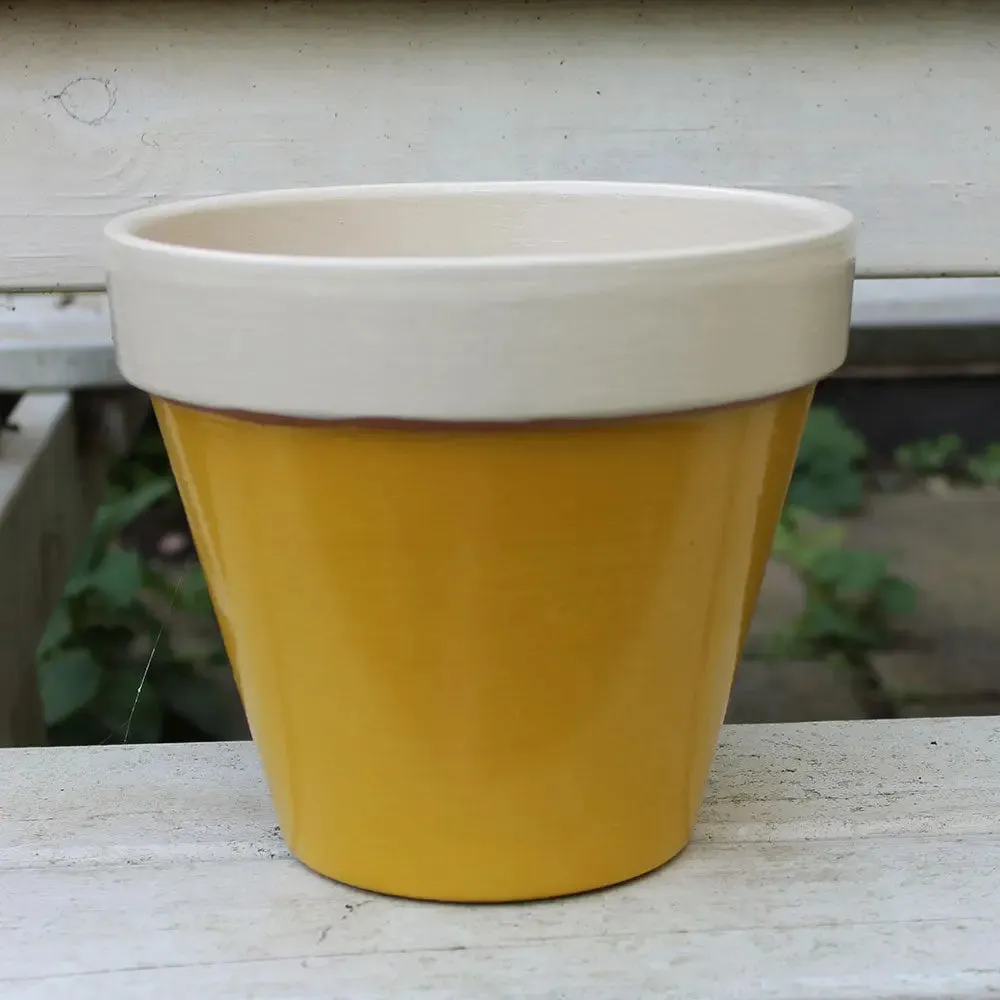 Mudgley Mustard Wood Paint