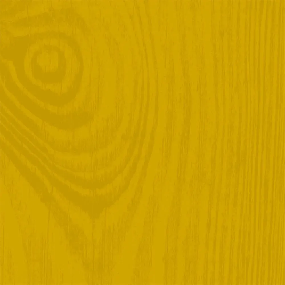 Mudgley Mustard Wood Paint