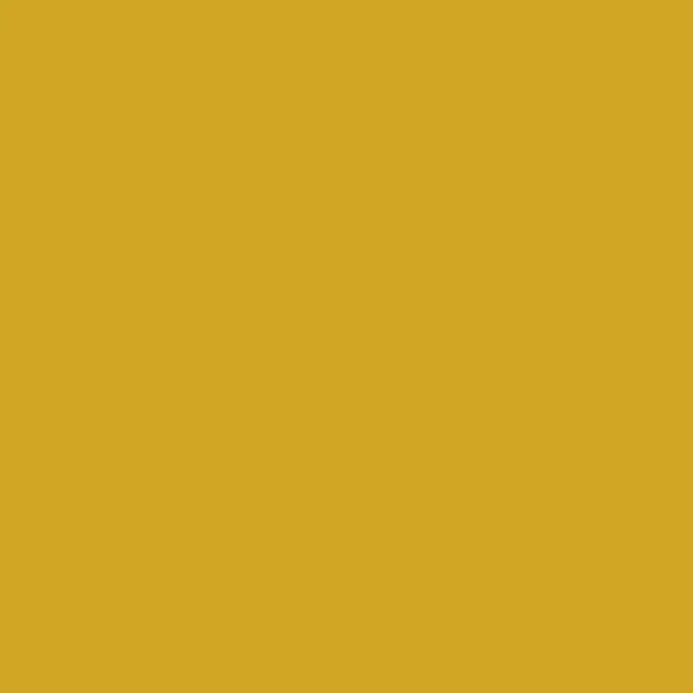 Mudgley Mustard Wood Paint